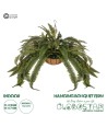 GloboStar® Artificial Garden FERN HANGING PLANT 20622 Τεχνητό Κρεμαστό Διακοσμητικό Φυτό Φτέρης Π90 x Μ90 x Y70cm